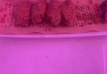 厦门文案招聘面试（探索厦门创意文案岗位：招聘与面试新视角）