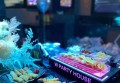 上海浦东新区金桥镇附近夜场招聘包厢气氛租,(不收入职费,直接入职的)