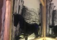 校园招聘展架文案（创新校园招揽策略：展架设计与文案新视角）
